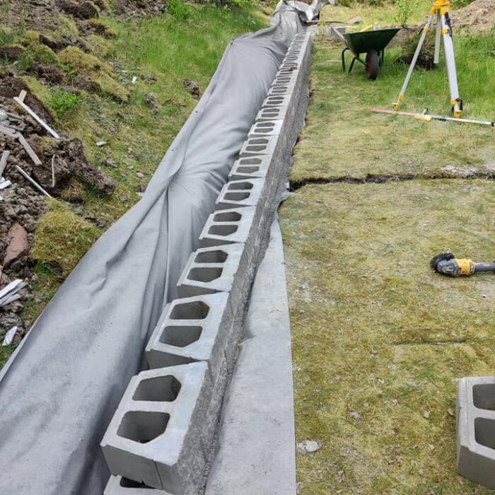 darius (1) darius (1)