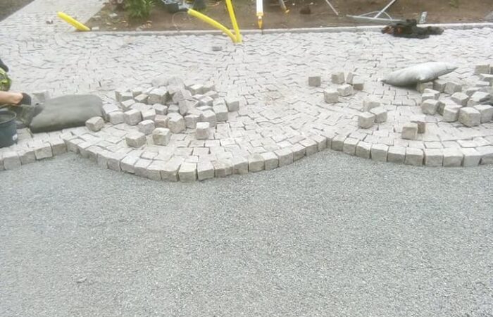 darius (5) darius (5)