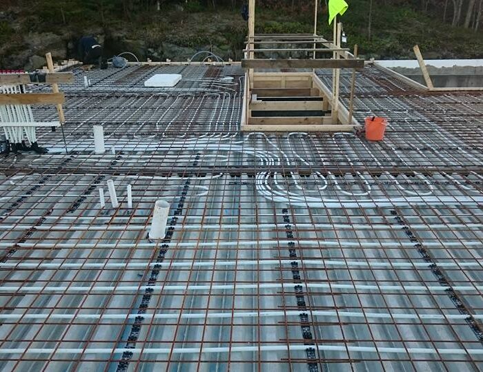 darius (7) darius (7)